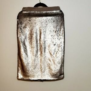 Banana Republic Pewter Sequin Skirt Size 8
